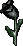 Black Tulip