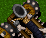 Catapult Icon