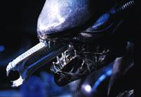 The aliens tongue or second jaw