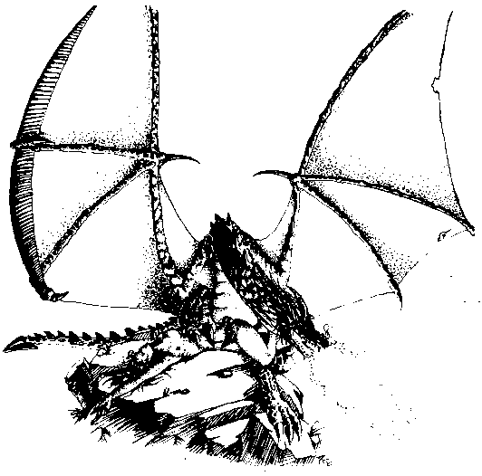 Sketch of a Dragon